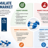 httpswww.24lifesciences.com 2026 06 15T103739.011