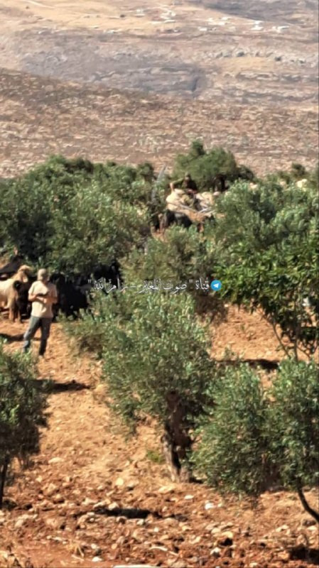 صورة | الاستيطان الرعوي في منطقة الخليلة وقرب حديقة الشهداء السابقة جنوبي المغير شمال شرق رام الله...