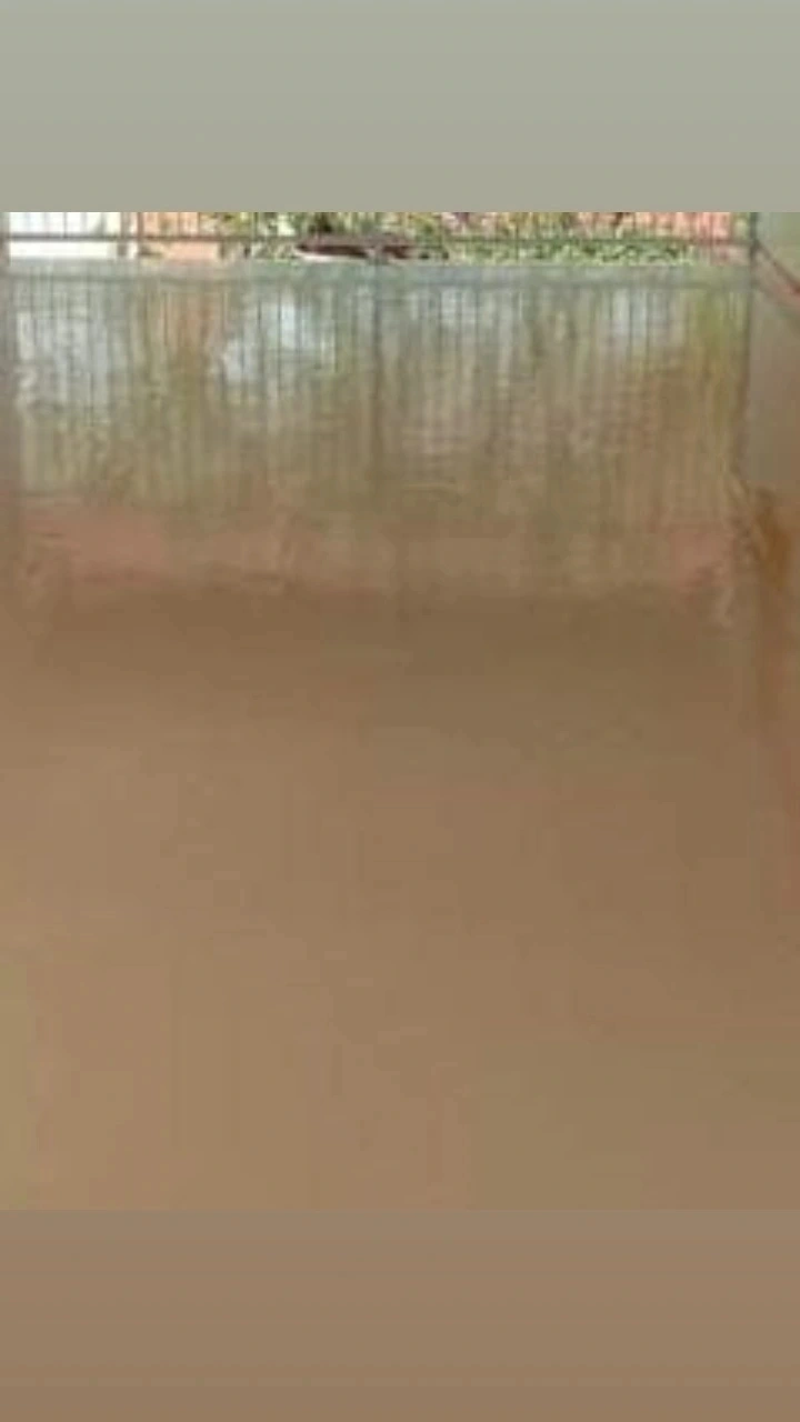 Foto de trabalho de RB pisos aplicação e polimentos de pisos de alta resistências no Indica Sergipe