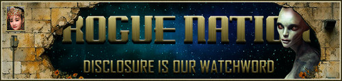 Holewall Banner.jpg
