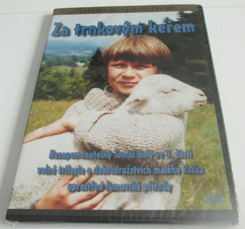 DVD Za trnkovým keřem LÍC.jpg