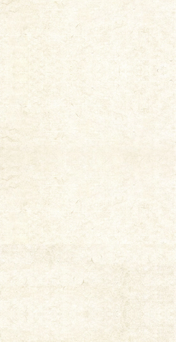 气泡底图干净.png