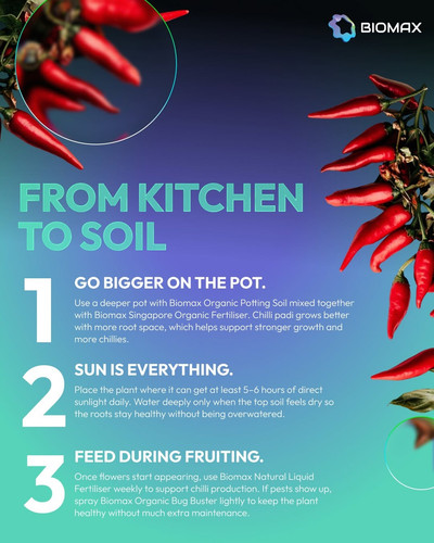 From Kitchen to Soil: Creating a Sustainable Future with Biomax Green.jpg