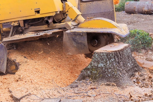 Best service for Stump Grinding in Capalaba.jpg
