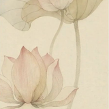 两朵荷花ui背景.png