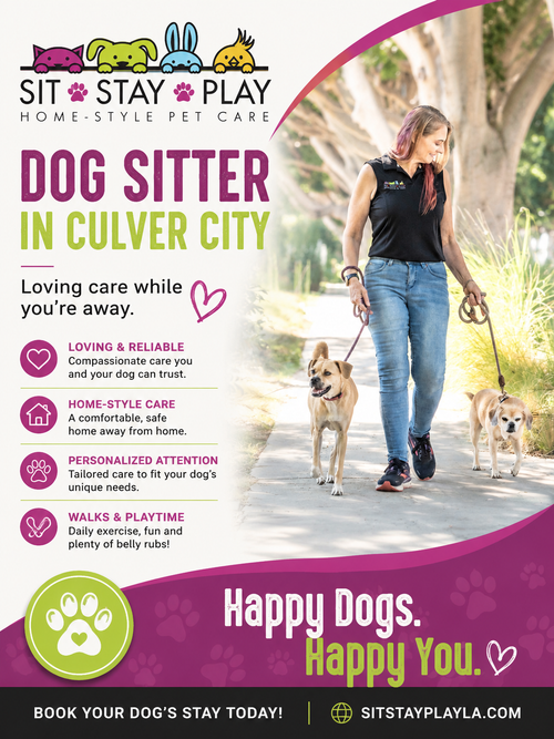 Loving & Reliable Dog Care Services.png
