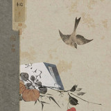 橘子底圖
