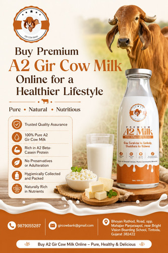 Buy Premium A2 Gir Cow Milk Online for a Healthier Lifestyle.jpg