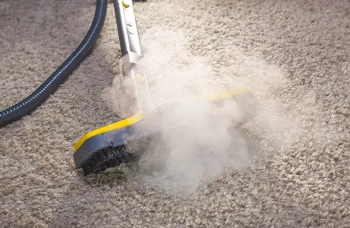 carpet steam cleaning specialist Adelaide.jpg