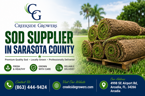 Affordable Sod Supplier in Sarasota County for Every Property.png