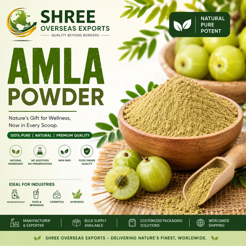 Organic Amla Powder Supplier Your Trusted Source for Premium Quality Amla Powder.png