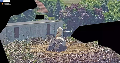 MWSnap576.jpg