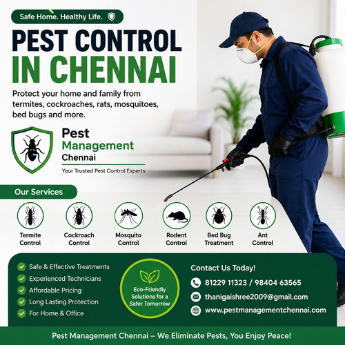 Pest Control in Chennai – Protect Your Home Before Pests Become a Problem.jpg