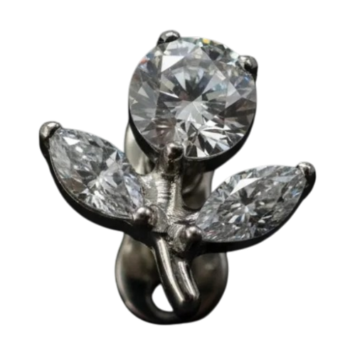 image724 (4).png