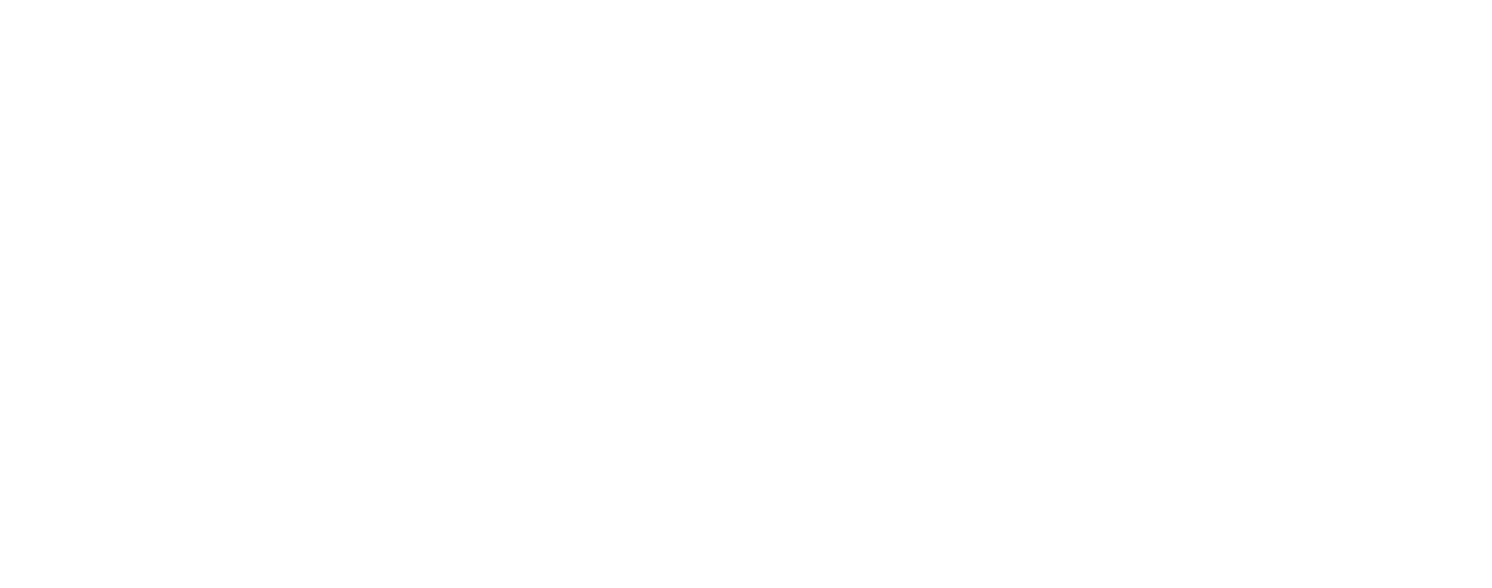 The Chicken Bawks logo