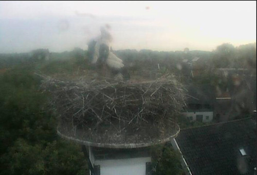 MWSnap007.jpg