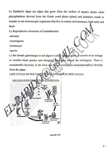 d3079332 33139381 BOT201 47.jpg