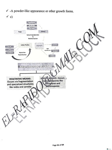d3079332 33139381 BOT201 30.jpg