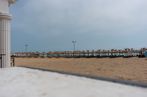 DSC03607.png