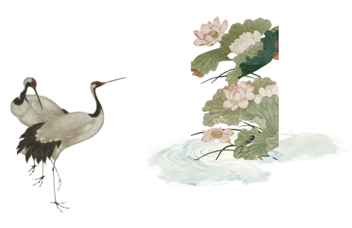 气泡底部贴图 荷花鹤.png