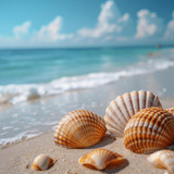 conchas do mar em arenoso de praia