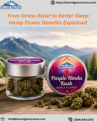 From Stress Relief to Better Sleep Hemp Flower Benefits Explained.png