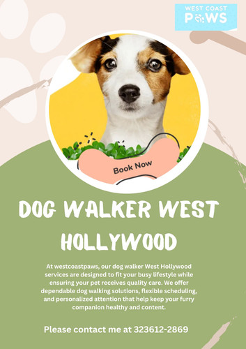 dog walker West Hollywood.jpg