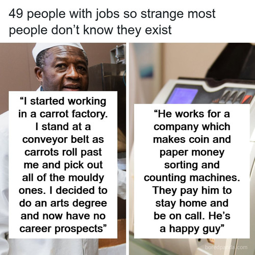 people weird obscure jobs.jpg