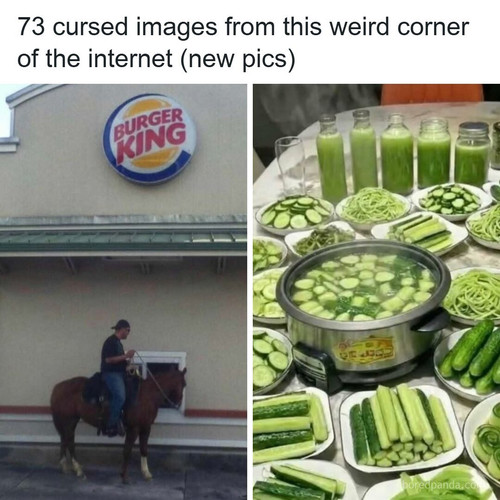 funny (1).jpg
