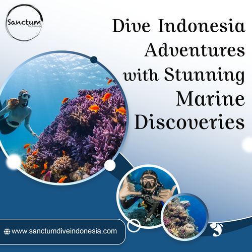 Dive Indonesia Adventures with Stunning Marine Discoveries.png