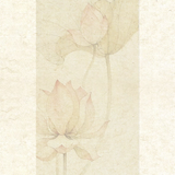 自制荷花ui底图