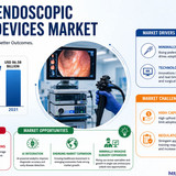 httpswww.24lifesciences.com 2026 06 17T115731.088