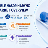 httpswww.24lifesciences.com 2026 06 16T130644.703
