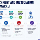 httpswww.24lifesciences.com 2026 06 16T120900.798