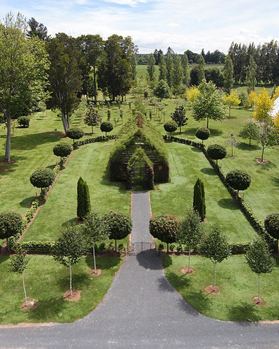 tree church nature installation barry cox new zealand 3.jpg