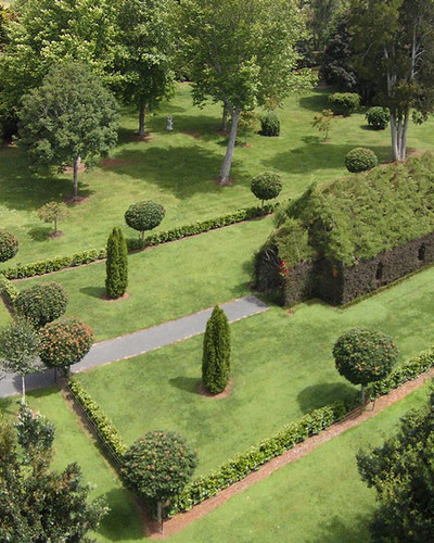 tree church nature installation barry cox new zealand 12.jpg