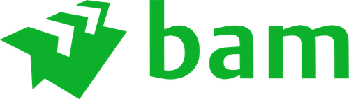 BAM.png