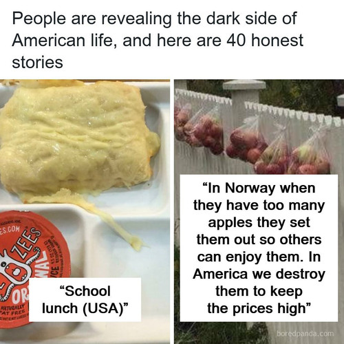 people share negative things living in usa (1).jpg