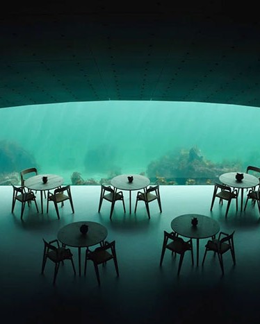 underwater 11.jpg