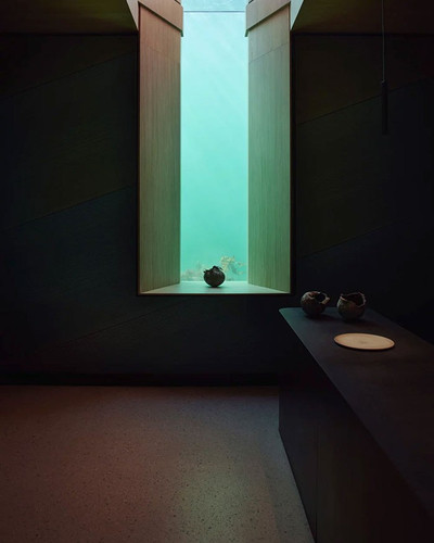 underwater 14.jpg