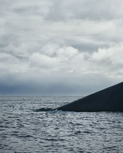 underwater 33.jpg