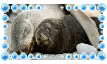 stamp 10.png