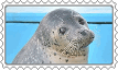 stamp 11.png