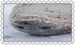 stamp 5.png