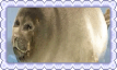 stamp 6.png