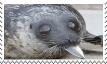 stamp.png