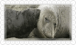 stamp 2.png