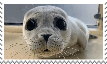 stamp 7.png