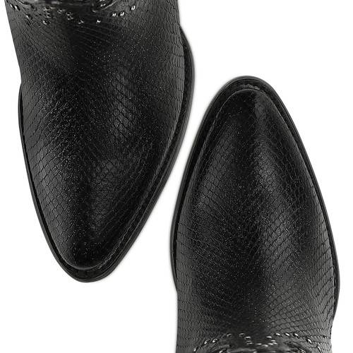 3F1LPM NEGRO piton m cosmo LP puntas.jpg