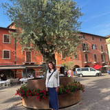 Torri del Benaco